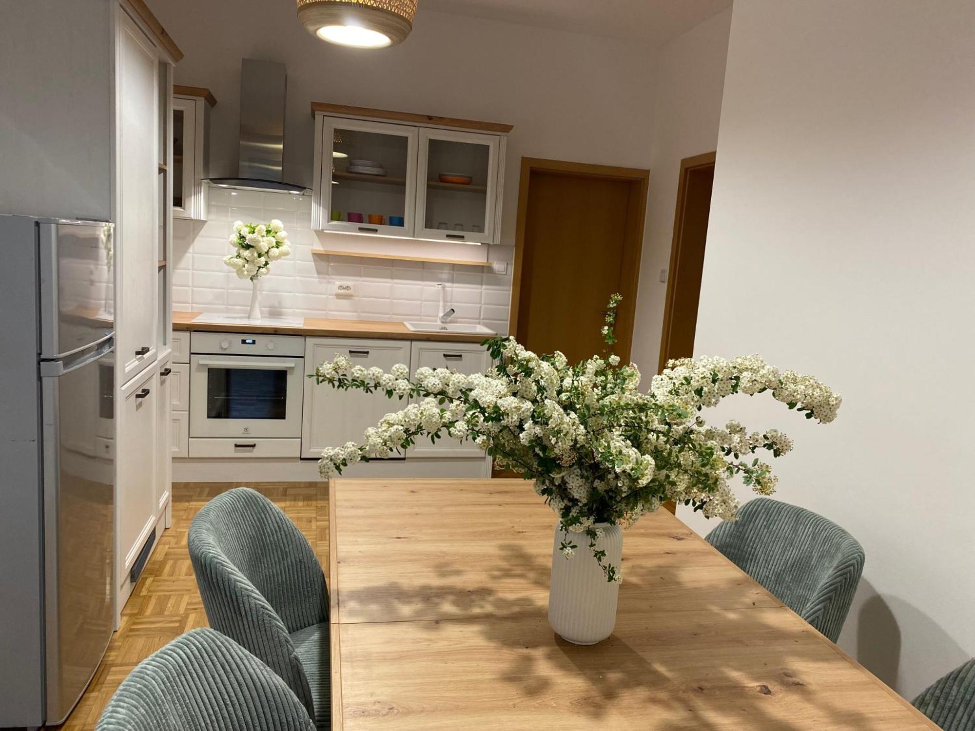 Apartma Rogatec Extérieur photo